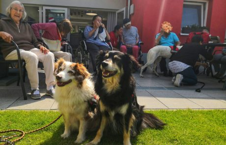 Ehrenamt: Tierischer Besuch im AWO-Zentrum Bayreuth