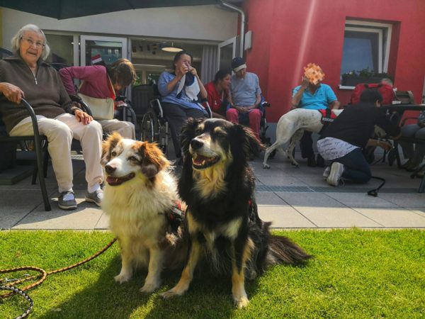 Hundebesuch_2 AWO Zentrum