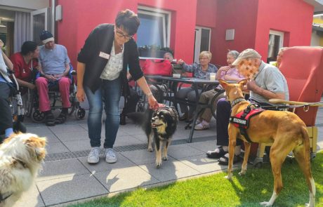 Ehrenamt: Tierischer Besuch im AWO-Zentrum Bayreuth