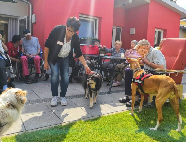 Hundebesuch AWO Zentrum