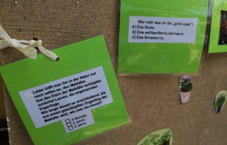 Tag des Schulgartens: AWO-Ganztagsschulkinder haben grünen Daumen