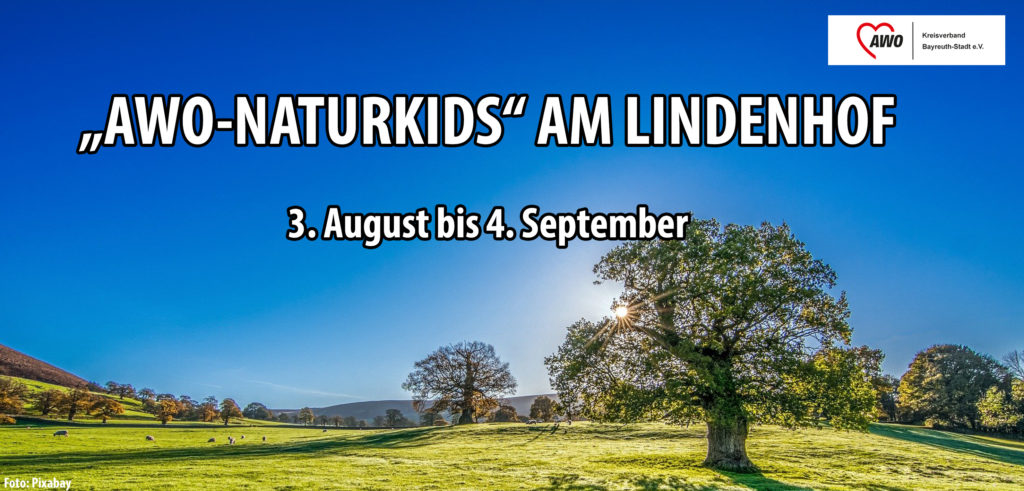 Bannerweb1