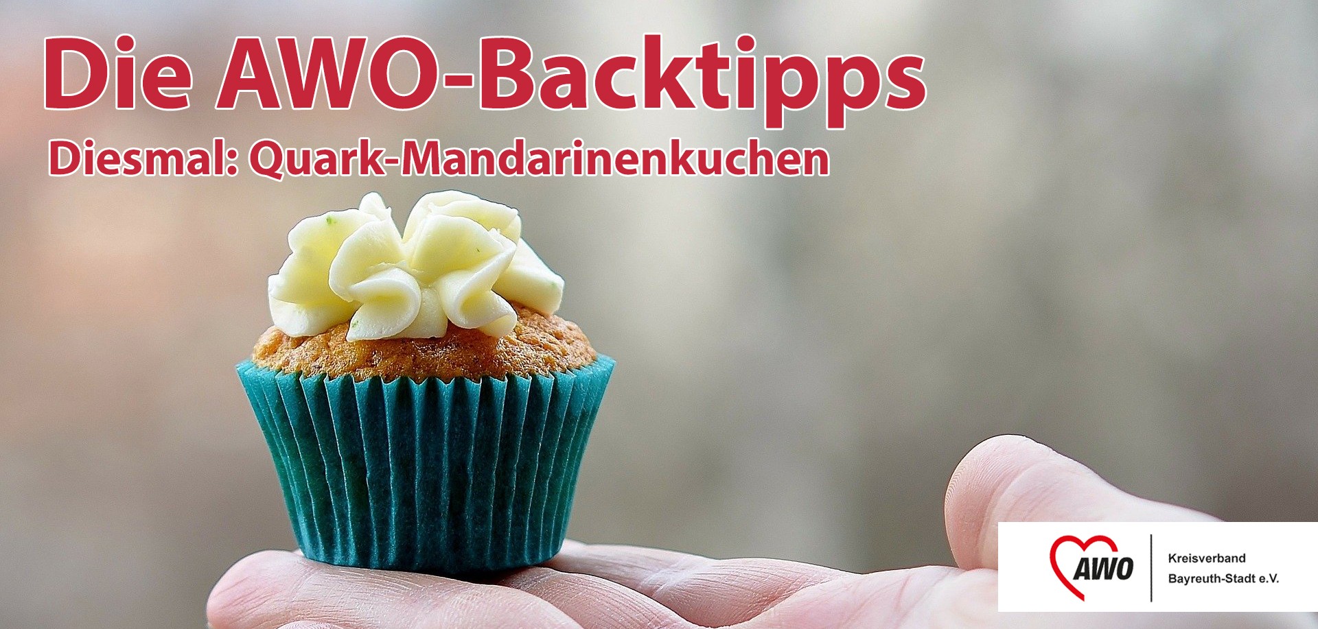 AWO-Backtipps: Quark-Mandarinenkuchen
